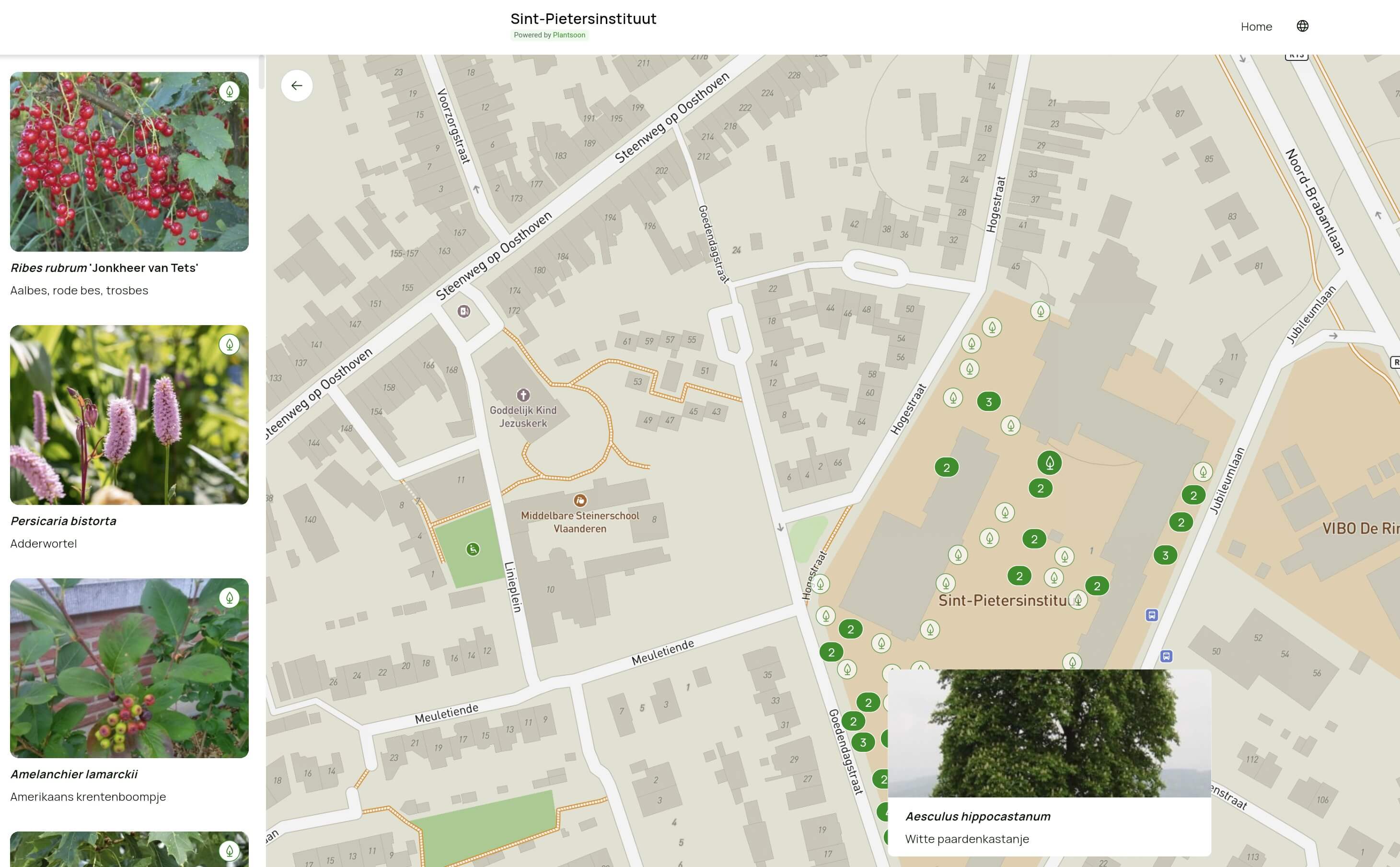 Digital overview of the playground Digital overview of the playground